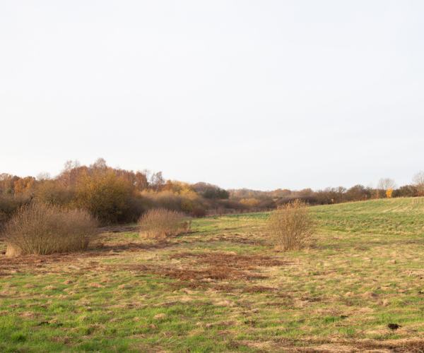 Hørsholm Rungsted - usserød ådal-4