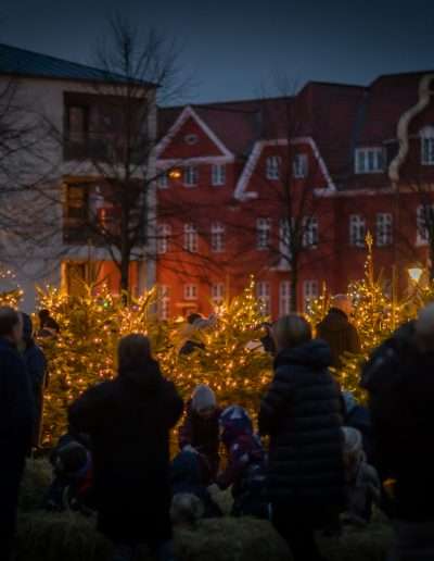 Juletræstænding på Ridebanen i Hørsholm 2022