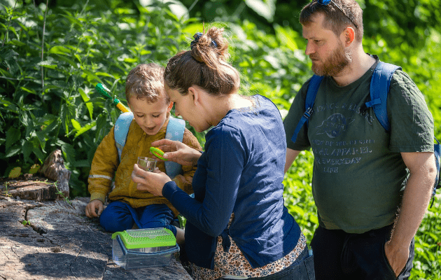 Krible krable-tur — for børnefamilier på Karen Blixen Museum