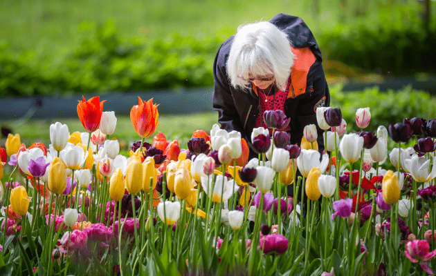 Blomsterkursus ved Helen Olsen på Rungstedlund