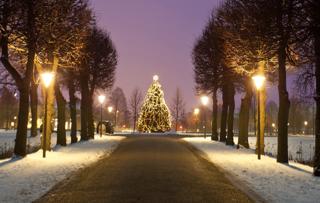 Juletræstænding på Hørsholm Ridebane