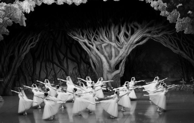 Ballet filmvisning: Giselle