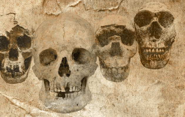 Foredrag: DNA og fossiler udvider vores stamtræ