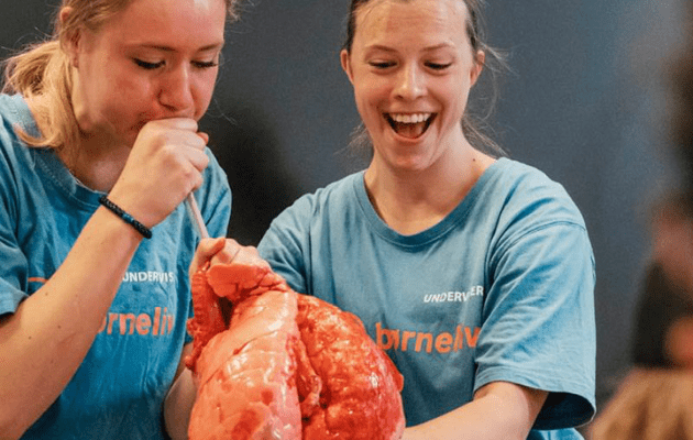 Hørsholm & Rungsted https://horsholm-rungsted.dk/efteraarsferie-guide/ Workshop for børn: Hjerte & lunge