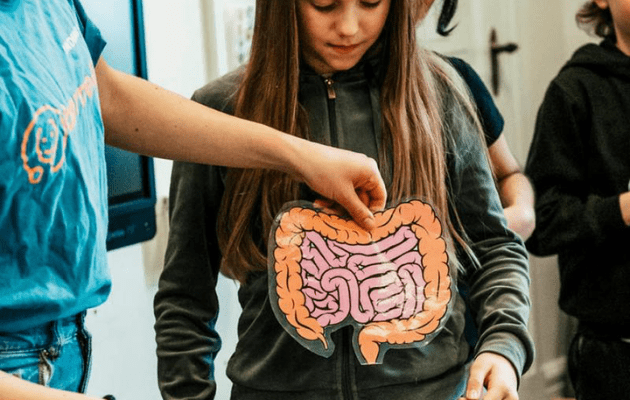 Hørsholm & Rungsted https://horsholm-rungsted.dk/efteraarsferie-guide/ Workshop for børn: Mave & tarm