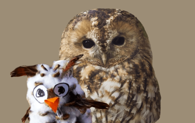 Hørsholm & Rungsted https://horsholm-rungsted.dk/efteraarsferie-guide/ Lav din egen ugleunge med naturens materialer på Karen Blixen Museum