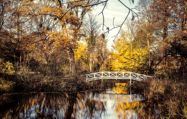 Hørsholm & Rungsted https://horsholm-rungsted.dk/efteraarsferie-guide/ Blixen og naturen — vandring i Fuglereservatet